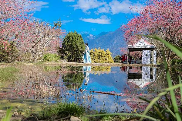 IMG_8134 (複製).JPG