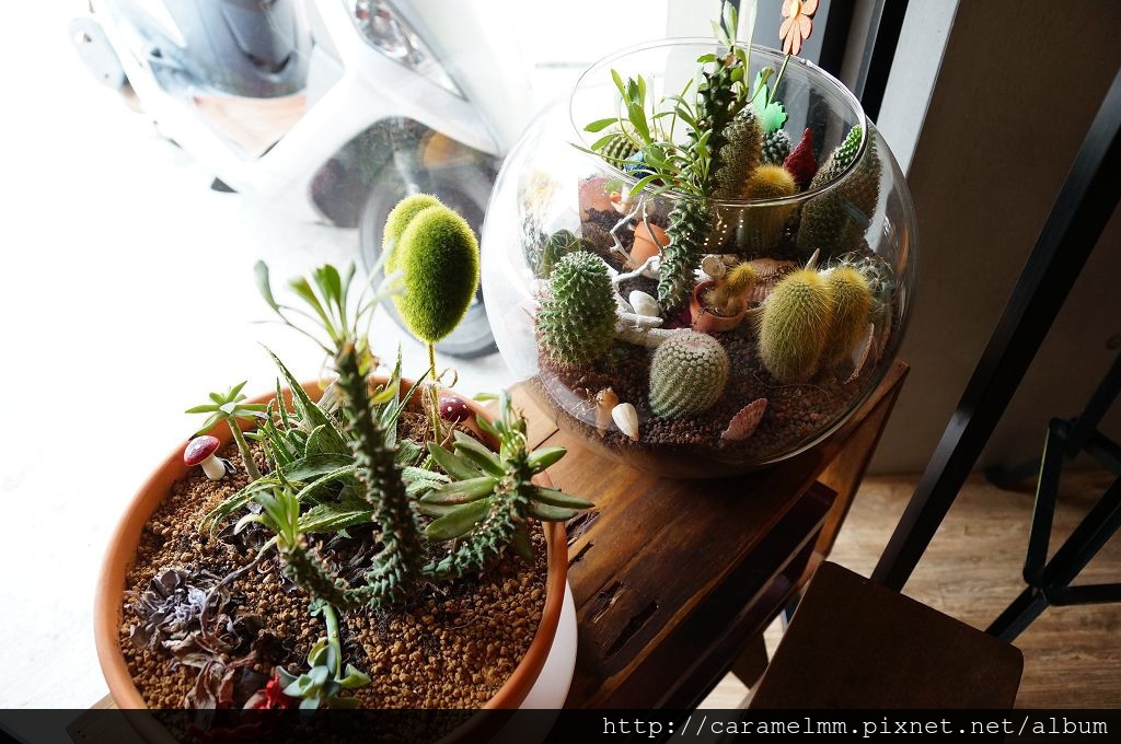 DSC05802.jpg DSC05802.jpg