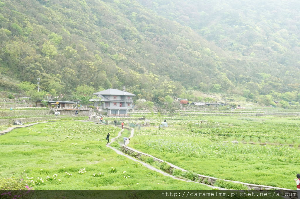 DSC06174.jpg DSC06174.jpg