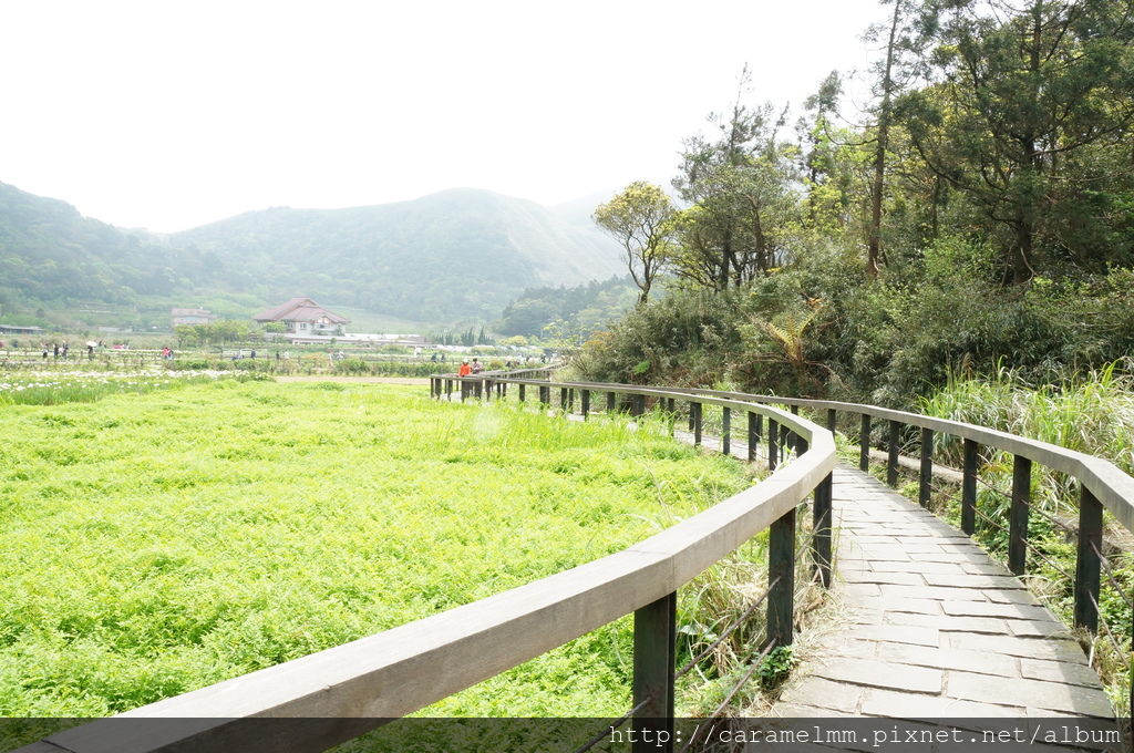 DSC06175.jpg DSC06175.jpg