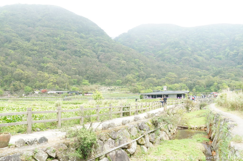 DSC06193.jpg DSC06193.jpg