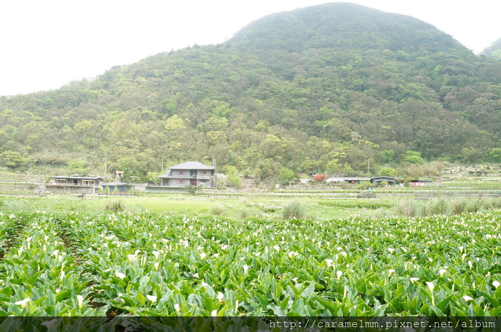 DSC06196.jpg DSC06196.jpg