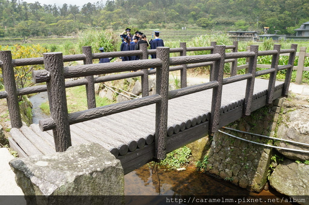 DSC06194.jpg DSC06194.jpg