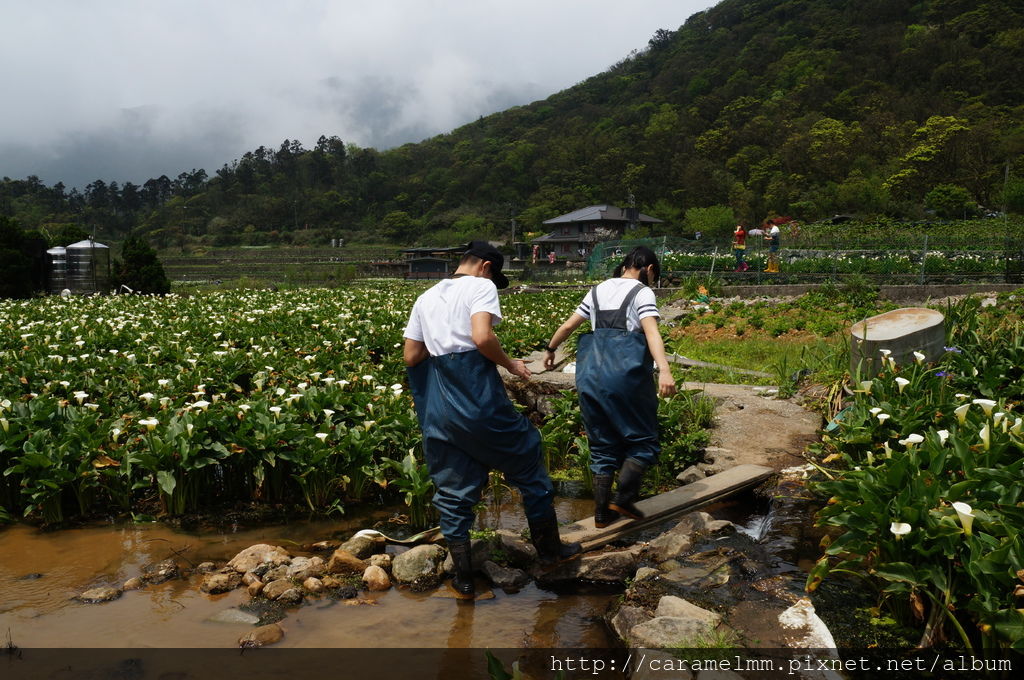 DSC06206.jpg DSC06206.jpg