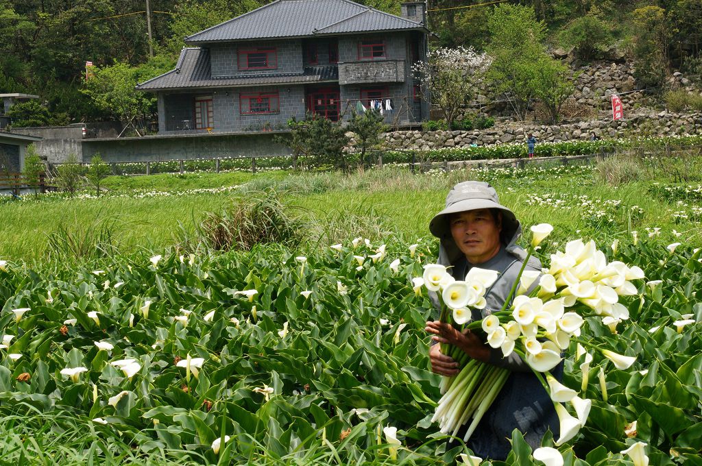 DSC06215.jpg DSC06215.jpg