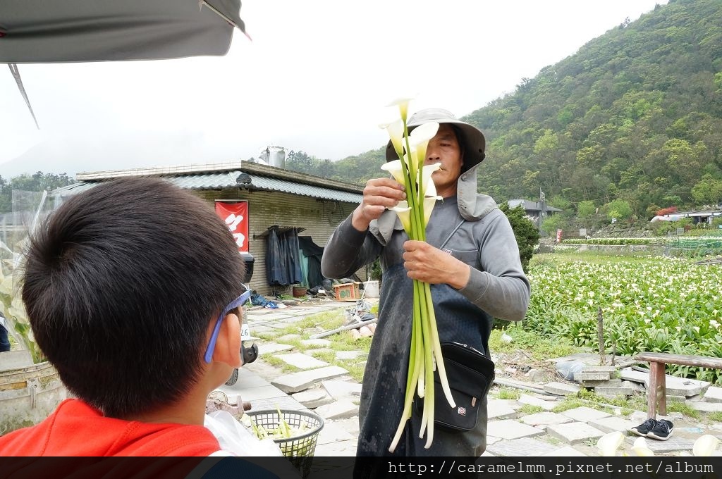 DSC06222.jpg DSC06222.jpg