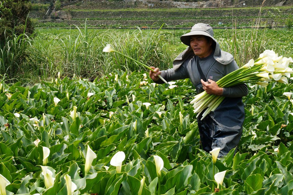 DSC06209.jpg DSC06209.jpg