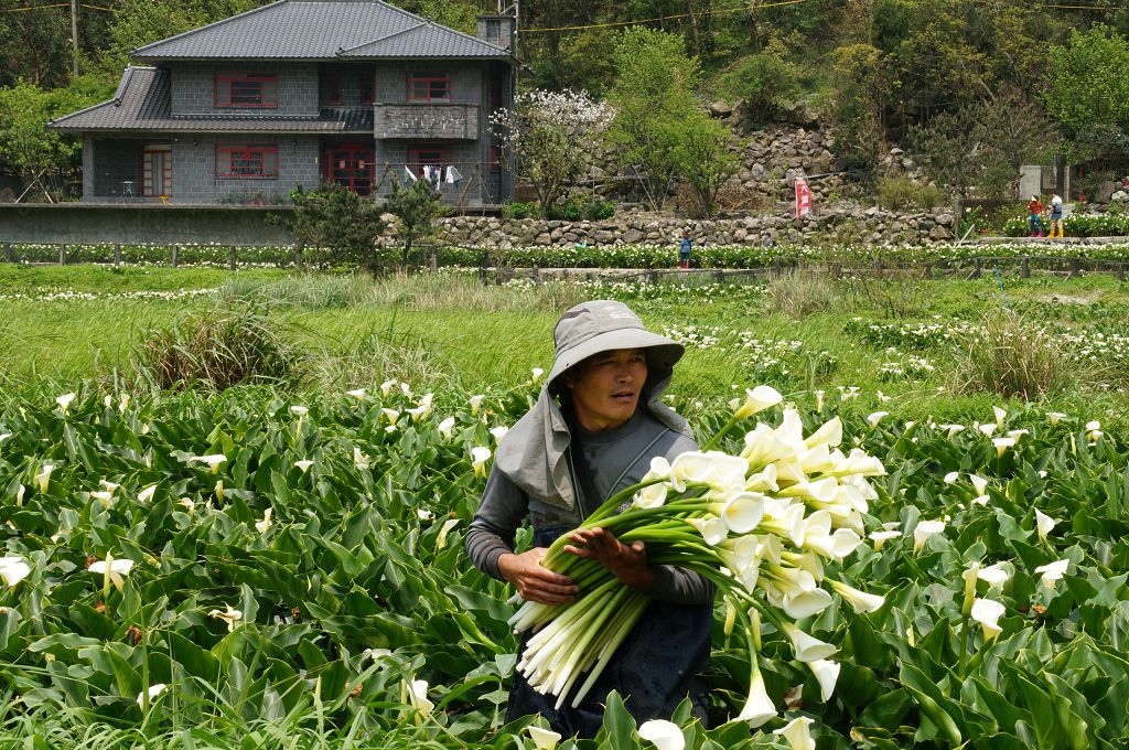 DSC06214.jpg DSC06214.jpg