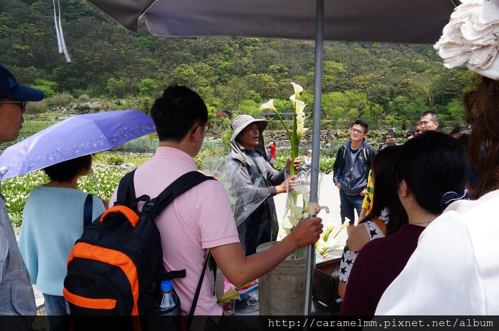 DSC06219.jpg DSC06219.jpg