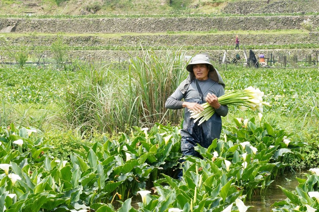 DSC06208.jpg DSC06208.jpg