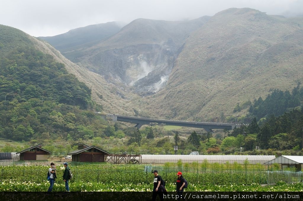 DSC06227.jpg DSC06227.jpg