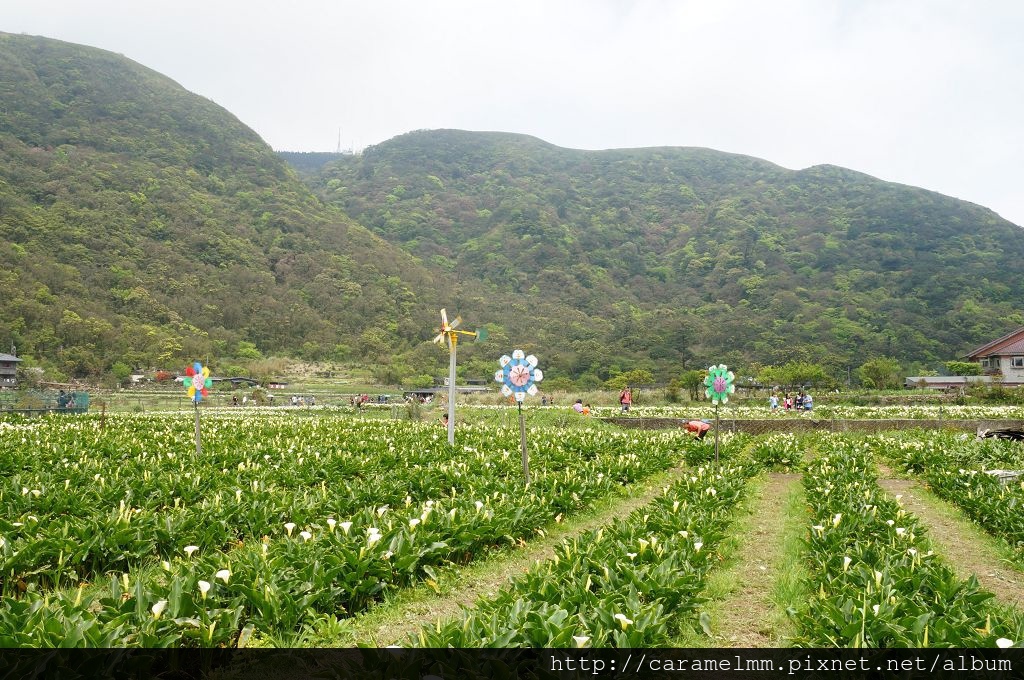 DSC06229.jpg DSC06229.jpg