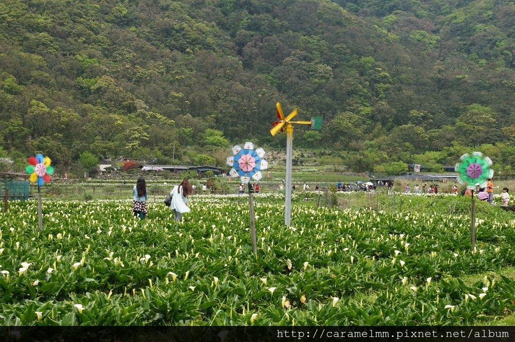 DSC06234.jpg DSC06234.jpg