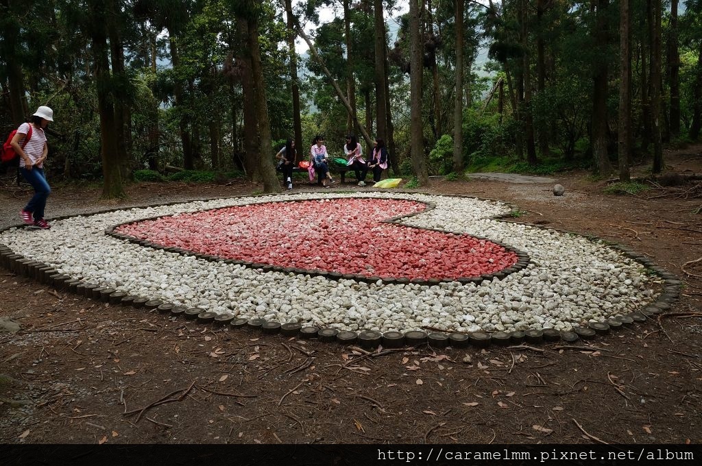 DSC06239.jpg DSC06239.jpg