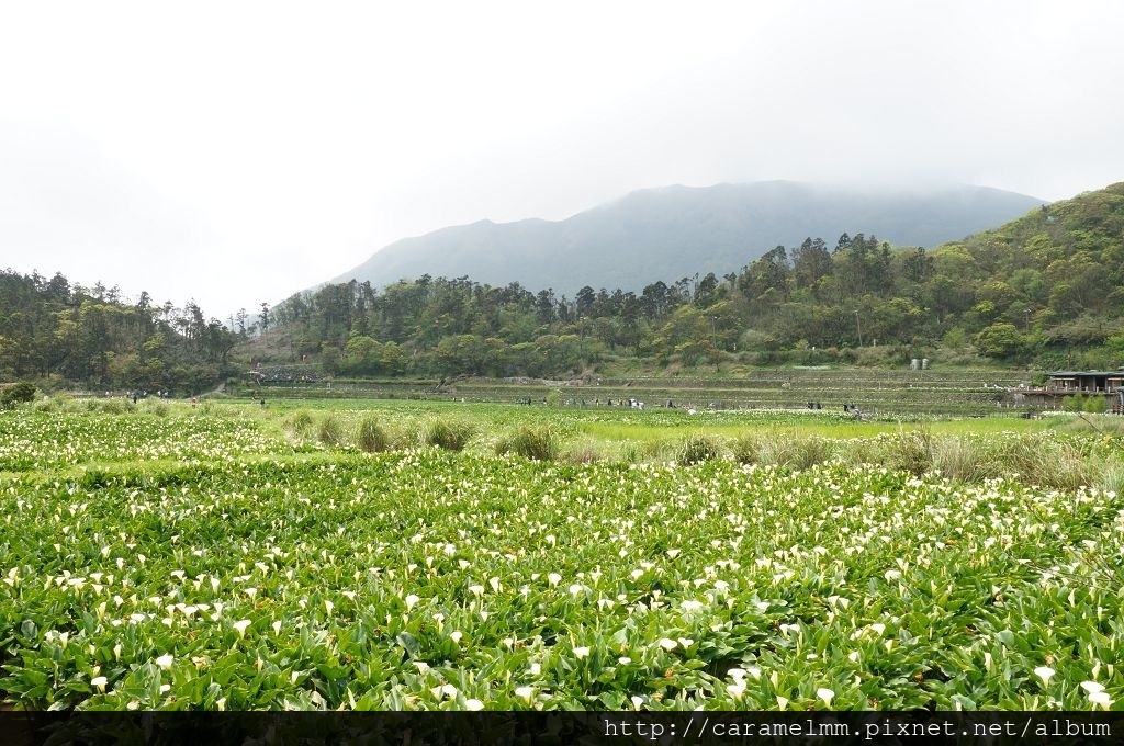 DSC06228.jpg DSC06228.jpg