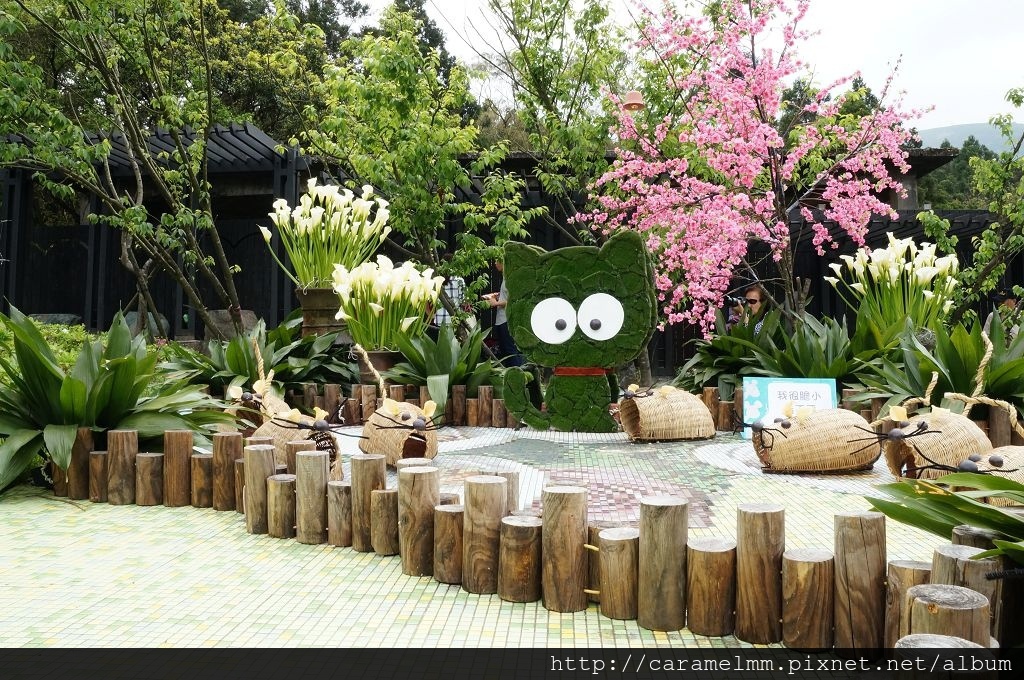 DSC06248.jpg DSC06248.jpg