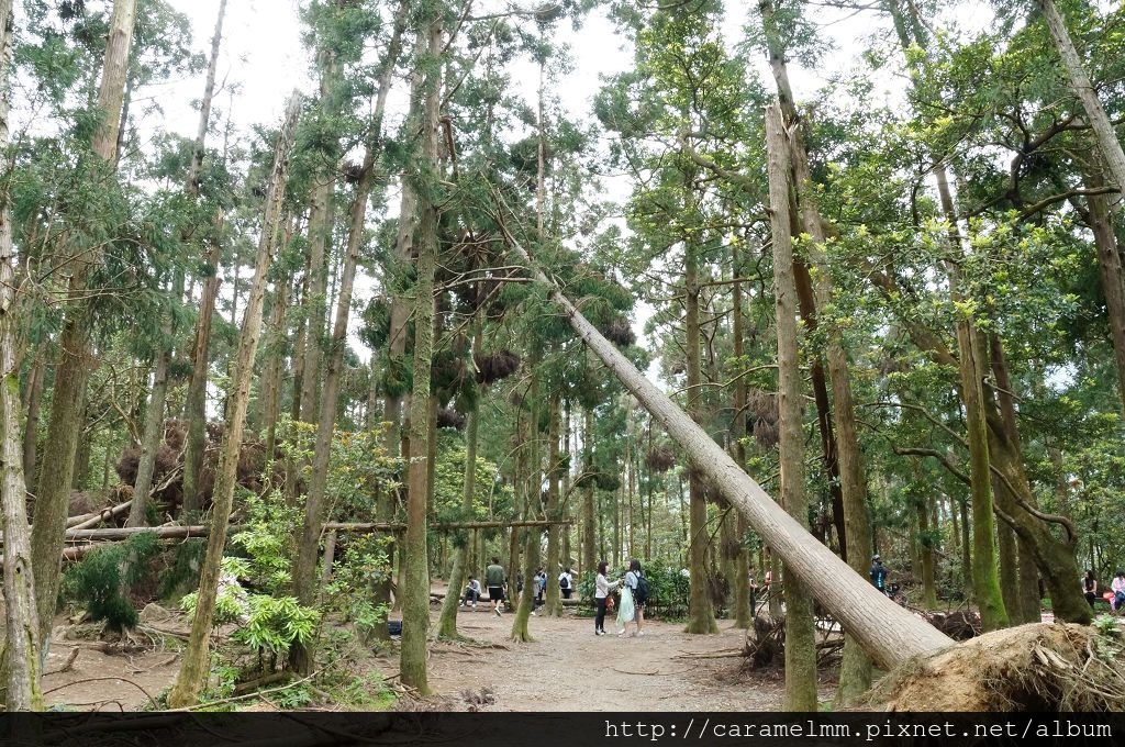 DSC06238.jpg DSC06238.jpg