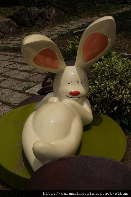 DSC06253.jpg DSC06253.jpg