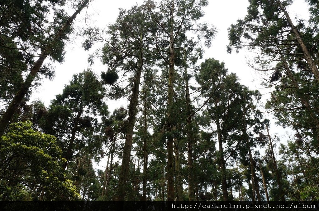 DSC06241.jpg DSC06241.jpg