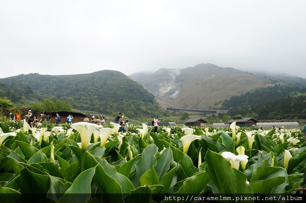 DSC06267.jpg DSC06267.jpg