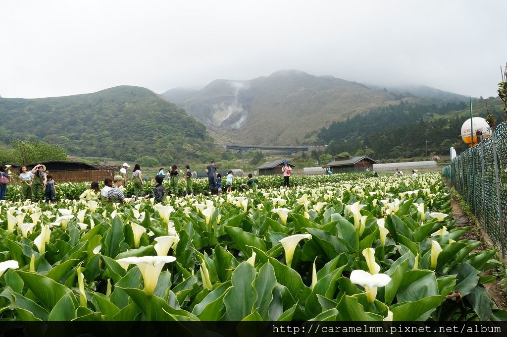 DSC06269.jpg DSC06269.jpg