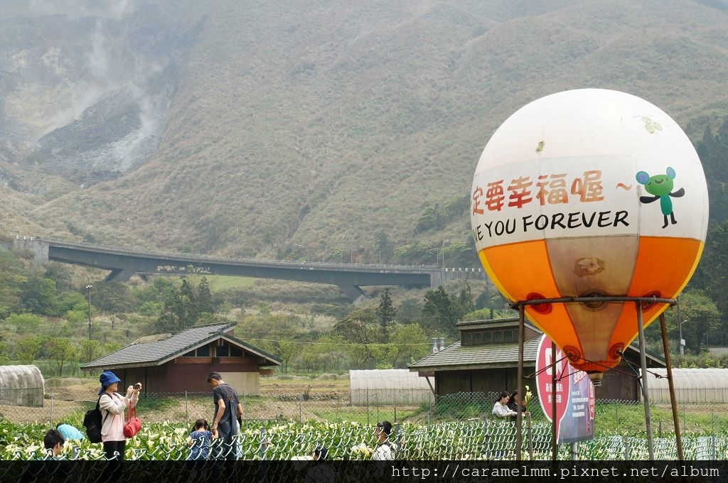 DSC06273.jpg DSC06273.jpg