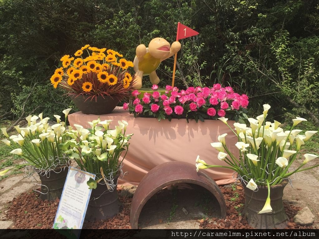 20160409(海芋)_4228.jpg 20160409(海芋)_4228.jpg