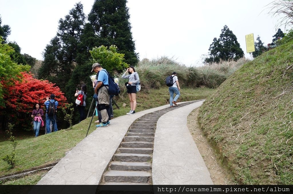 DSC06279.jpg DSC06279.jpg