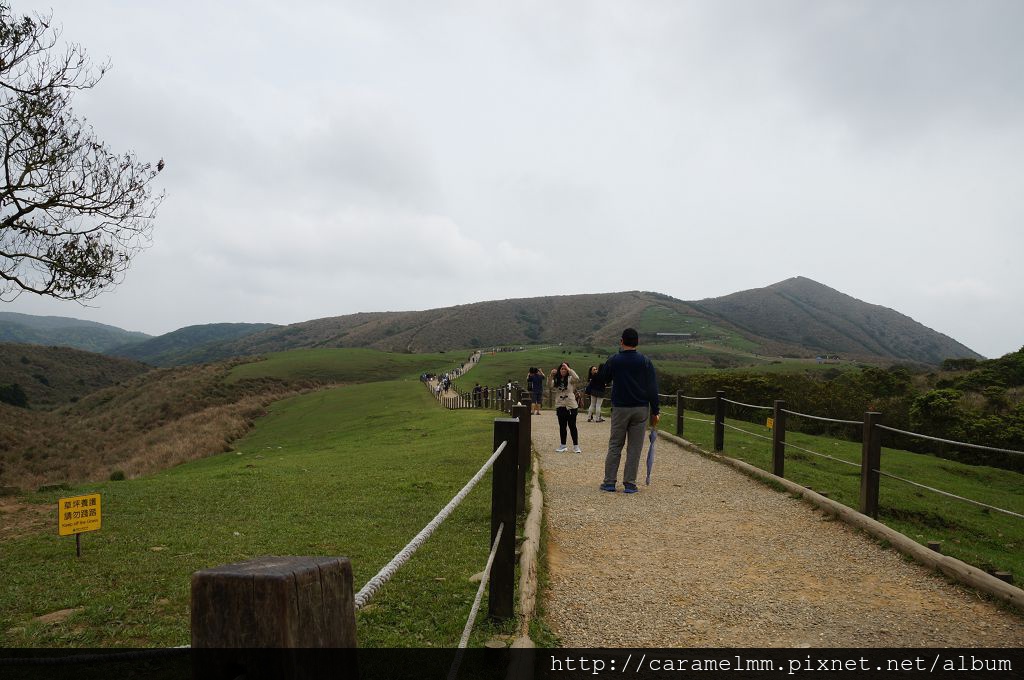 DSC06281.jpg DSC06281.jpg