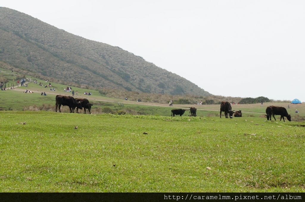 DSC06285.jpg DSC06285.jpg