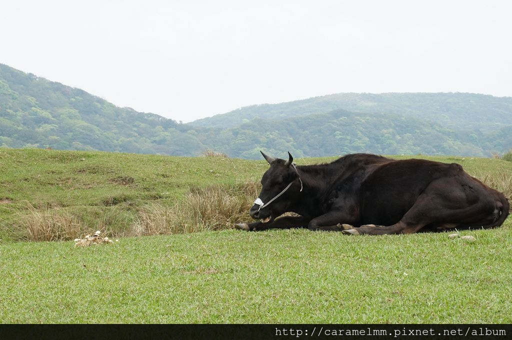 DSC06289.jpg DSC06289.jpg