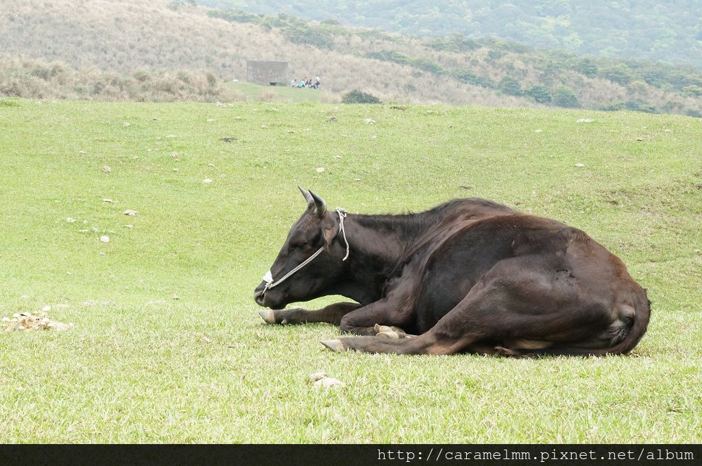 DSC06290.jpg DSC06290.jpg