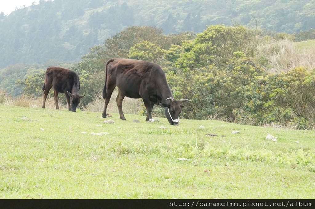 DSC06293.jpg DSC06293.jpg