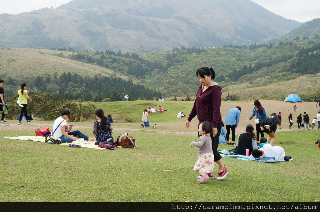 DSC06298.jpg DSC06298.jpg