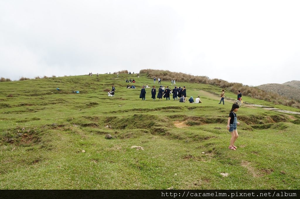 DSC06305.jpg DSC06305.jpg