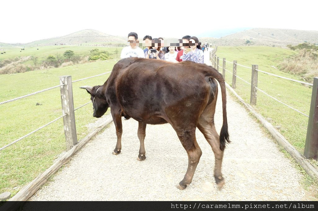 DSC06314.jpg DSC06314.jpg