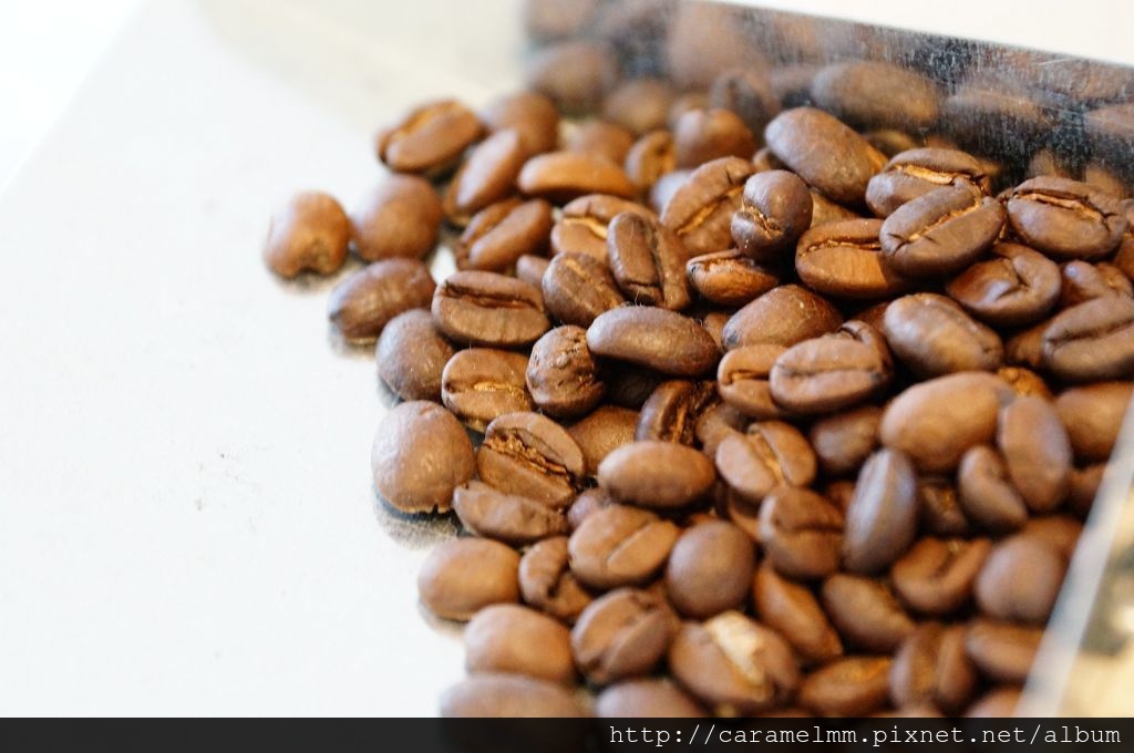 DSC06504.jpg DSC06504.jpg