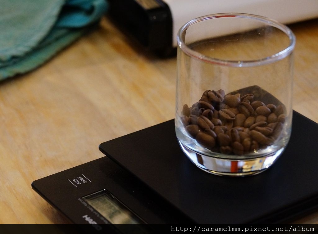 DSC06621.jpg DSC06621.jpg