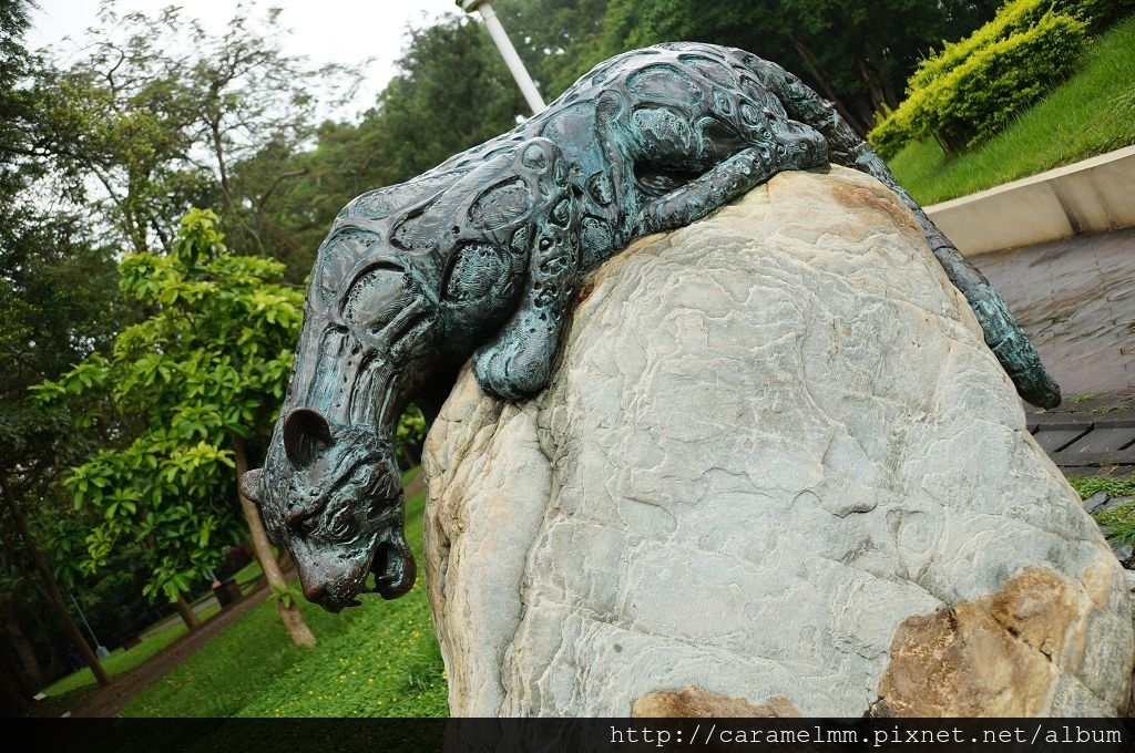 DSC07975.jpg DSC07975.jpg