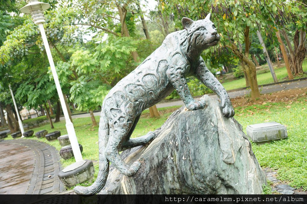 DSC07974.jpg DSC07974.jpg