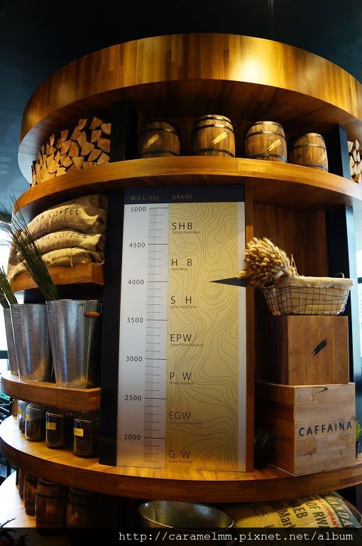 DSC09523.jpg DSC09523.jpg