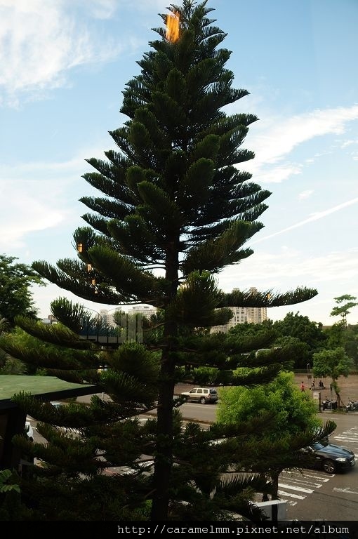 DSC09525.jpg DSC09525.jpg