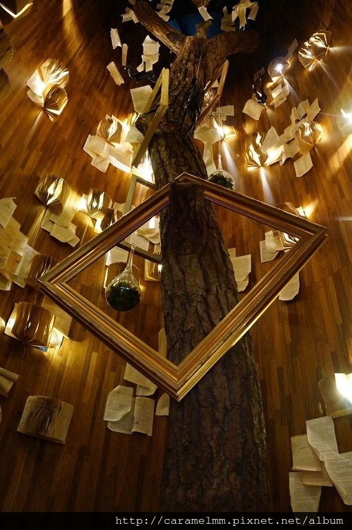 DSC09537.jpg DSC09537.jpg