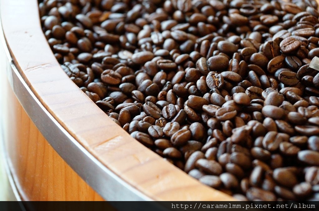 DSC09562.jpg DSC09562.jpg