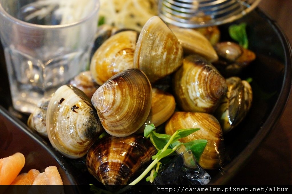 DSC09859.jpg DSC09859.jpg