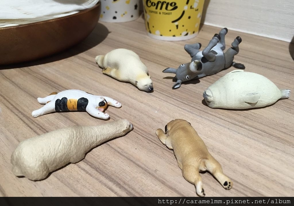 20160702(咖兔)_4487.jpg 20160702(咖兔)_4487.jpg