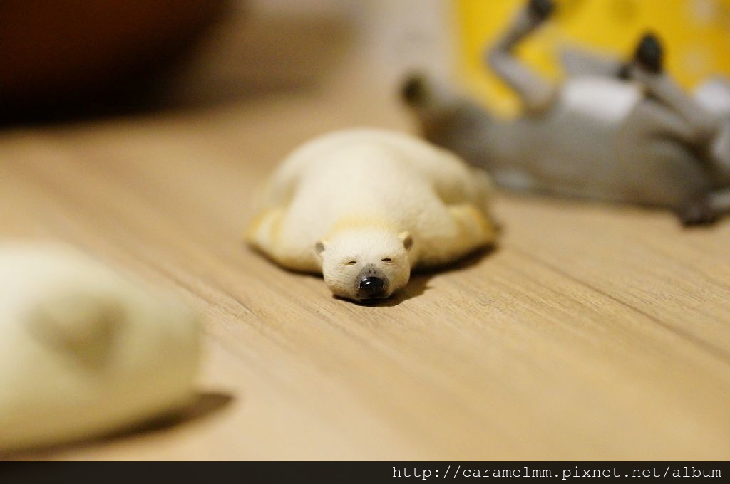 DSC00047.jpg DSC00047.jpg