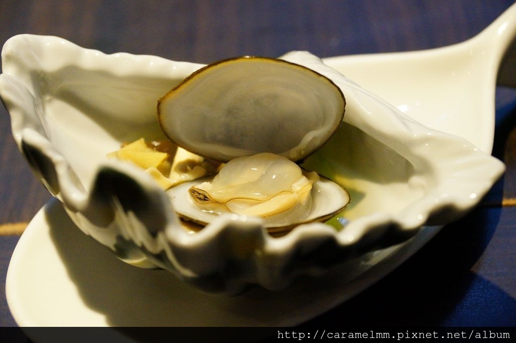 DSC08806.jpg DSC08806.jpg