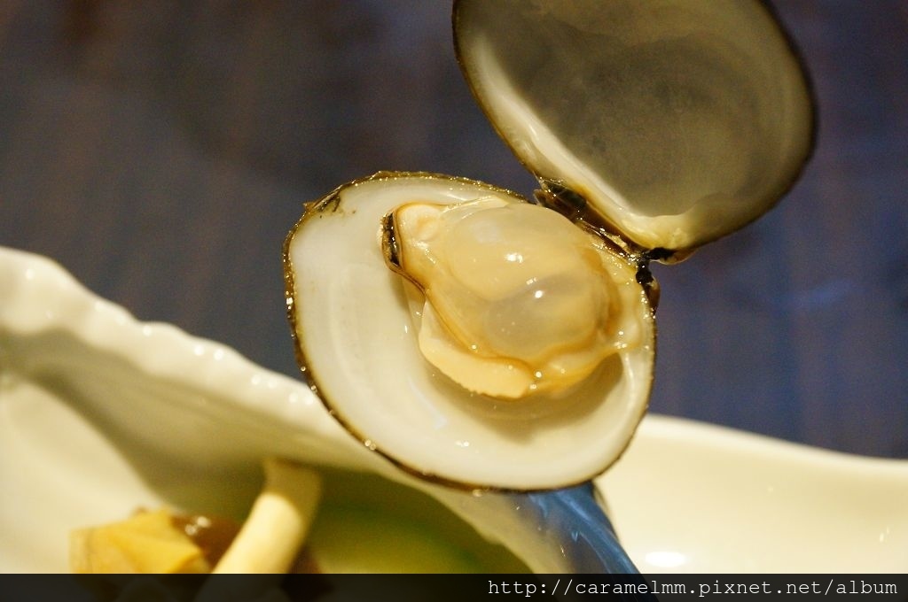 DSC08809.jpg DSC08809.jpg