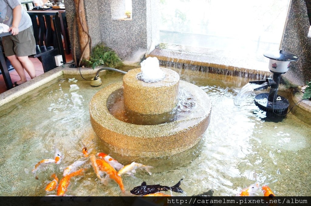 DSC00483.jpg DSC00483.jpg